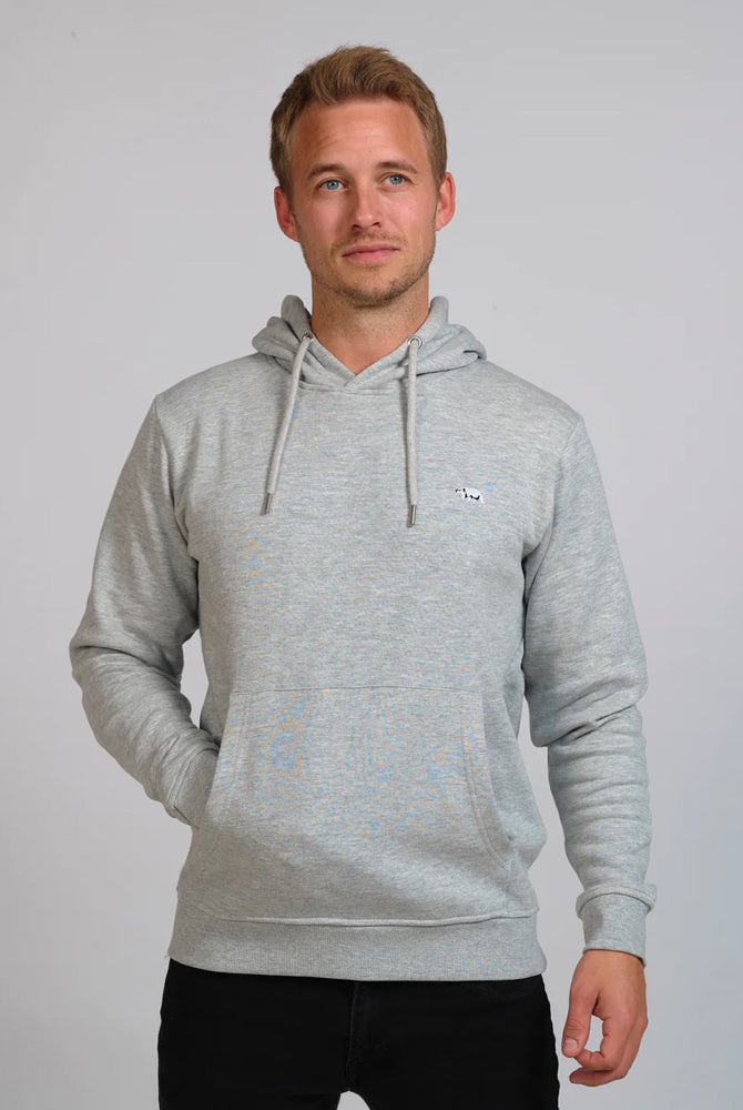 Sweatshirt de Algodão Orgânico Cinzenta - Urso Polar